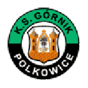Górnik Polkowice 队徽
