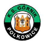 Górnik Polkowice 队徽
