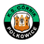 Górnik Polkowice 队徽