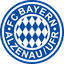 Bayern Alzenau 队徽